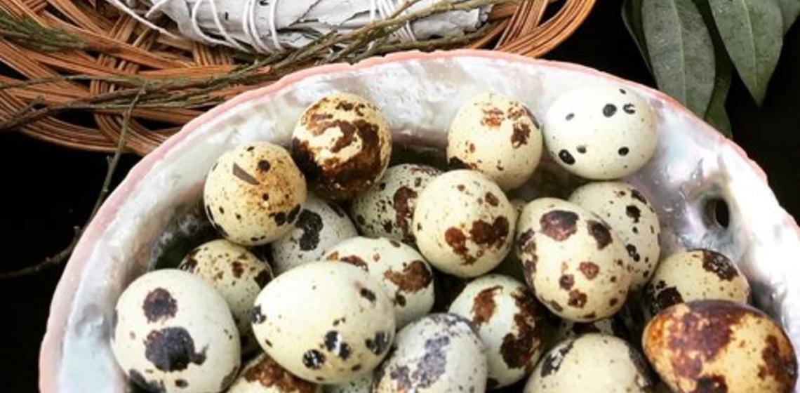 photo of a bowl filled with quail eggs