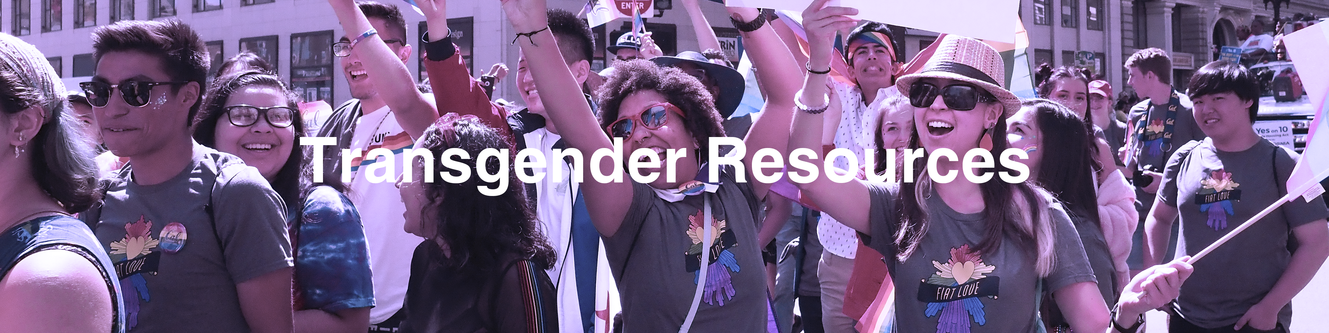 Transgender Resources